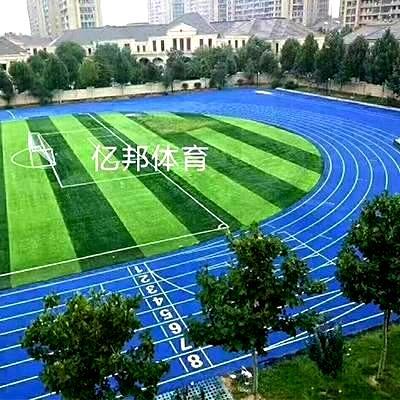郑州全塑型塑胶跑道材料厂家